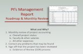 PI’s Management Report - Financial & Business Services · PI’s Management Report Roadmap & Monthly Review What and Why? 1. Monthly review of project a ccounting a. Overall project