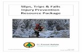 Slips, Trips & Falls Injury Prevention Resource Package · 2015-09-10 · Injury Prevention: Slips, Trips & Falls Injury Prevention: Slips, Trips & Falls September 2015 Injury Prevention