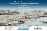 Plastic Debris in the California Marine EcosystemPlastic Debris in the California Marine Ecosystem: A Summary of Current Research, Solution Strategies and Data Gaps. 2011. C. Stevenson,