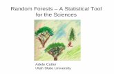 Random Forests – A Statistical Tool for the Sciencesmath.usu.edu/~adele/RandomForests/useR! final.pdf · Random Forests – A Statistical Tool for the Sciences . Adele Cutler .