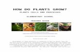HOW DO PLANTS GROW - EnvLitenvlit.educ.msu.edu/publicsite/files/CarbonCycle/CC TeachingExpe…  · Web view- Plants grow, and this occurs because they gain mass and increase their