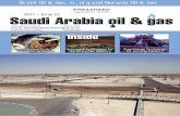 Saudi Arabia Oil & Gas (Online) ISSN 2045-6689saudiarabiaoilandgas.com/pdfmags/saog_22.pdf · First-year R&DC scientists Hassan Al-Jama and Mo-hammed Al-Abuallirat agreed. “Even