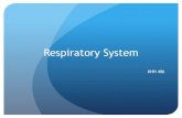 Respiratory System - WeeblyNutrition Therapy - Interventions Maintain optimal energy balance Overfeeding concern with ventilation Glucose >5 mg/kg/min increases CO 2 production Commercial