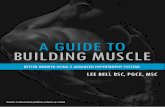 A GUIDE TO BUILDING MUSCLE Muscle Growth Cheat Sheetthemusclemechanicuk.com/wp-content/uploads/2017/10/... · done per muscle group, per workout, or per training phase. ... Tempo