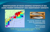 Study Area: Eastern US Continental Shelfarchive.nefmc.org/herring/cte mtg docs/100727-28...ATLANTIC HERRING PDT Jamie M. Cournane, PhD University of New Hampshire and Environmental