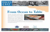From Ocean to Table - Microsoft · at any stage in the journey from ocean to table. After this brainstorm, invite one student from each group to draw a Fate Card, return to their
