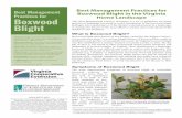 Best Management Practices for Boxwood Blight in the ...- Be aware that fungicide treatment can suppress symptom development. •Monitor established boxwood and newly planted boxwood