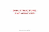 DNA STRUCTURE AND ANALYSIS - molekulce.com · the strongest direct evidence for dna as the genetic material comes from recombinant dna technology. segments of eukaryotic dna corresponding