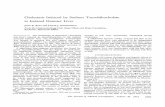 Cholestasis Induced by Sodium Taurolithocholatedm5migu4zj3pb.cloudfront.net/manuscripts/106000/106728/JCI71106728.pdf · Cholestasis Induced by Sodium Taurolithocholate in Isolated