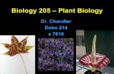 Biology 205 – Plant Biologypeople.uncw.edu/chandlerg/documents/Introduction.pdf• Lycophyta (lycophytes) 1,000 spp. ... • Land plants share two key ultrastructural features with