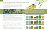The effect of a seaweed biostimulant, Kelpak, on banana (Musa … · 2016-07-15 · A091 The effect of a seaweed biostimulant, Kelpak, on banana (Musa acuminata) yields in South AfricaAdriaan