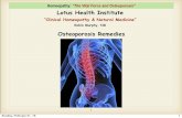 Homeopathy: “The Vital Force and Osteoporosis” Lotus ... · 04/03/2016  · 3 Homeopathy: “The Vital Force and Osteoporosis” • General information - Loss of normal bone