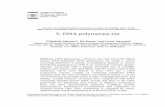 5. DNA polymerase eta · DNA polymerase eta 75 However, unlike the case of POLH, no mutation in POLI has been identified in XP-V patients. Xeroderma pigmentosum (XP) is an autosomal