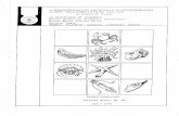 A BIBLIOGRAPHY OF PATHOLOGY IN INVERTEBRATES OTHER … · A BIBLIOGRAPHY OF PATHOLOGY IN INVERTEBRATES OTHER THAN INSECTS FROM 1969-1972 by Gilbert B. Pauleyl u.S. Department of Commerce