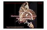 Hormones II Hormones in Moulting and folder/hormones/lecture_pdfs/  Hormones in Moulting
