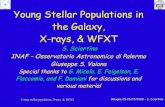 Young Stellar Populations in the Galaxy, X-rays, & WFXTpeople.na.infn.it/~paolillo/WFXT_Bologna_talks/... · Young Stellar Populations in the Galaxy, X-rays, & WFXT S. Sciortino INAF