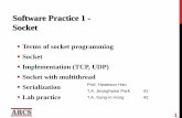Software Practice 1 - Socket - SKKUarcs.skku.edu/pmwiki/uploads/Courses/SWPractice1/13_Socket41.pdfSoftware Practice 1 - Socket Terms of socket programming Socket Implementation (TCP,
