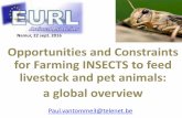 Namur, 22 sept. 2016 Opportunities and Constraints for Farming … · 2016-09-19 · Opportunities and Constraints for Farming INSECTS to feed livestock and pet animals: a global
