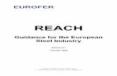 REACH - government.bg...REACH Guidance for the European Steel Industry Thus, any manufacturer or importer who fails to pre-register its “phase-in” substances will not be able to