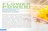 JOURNAL OF SHOPPER RESEARCH FLOWER POWER! · 2018-03-21 · Snelders (2001) propose that pleasant surprises may increase customer arousal and the salience of positive emotion and