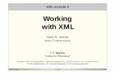 Working with XML - Telenetusers.telenet.be/hans.arents/presentations/XML in 4...of XML tags,but application-defined interpretation Łneeds to be parsed to become available for processing