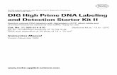 FOR IN VITRO DIG High Prime DNA Labeling and Detection ... · For life science research only. Not for use in diagnostic procedures. FOR IN VITRO USE ONLY. DIG High Prime DNA Labeling