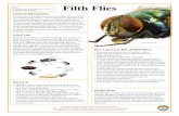 Filth Fliesflies.pdf · • Pick up outdoor pet droppings regularly and place them in sealed plastic bags. Dog droppings should be picked up daily. Outdoor bird cages should be cleaned
