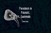 Guatemala Patanatic, Parasitosis in Brittany.pdf · Background Unsafe water, sanitation, and handwashing were listed as top risk factors driving death and disability in Guatemala