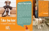 Take the lead - Guide Dogs NSW/ACT · Take the lead to support Guide Dogs What is ‘Take the lead’ Take the lead is a new education campaign aimed at creating a safer community