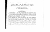Heteroptera: Enicocepha idae1 - Bishop Museumhbs.bishopmuseum.org/pubs-online/pdf/iom7-5enico.pdf · Heteroptera: Enicocepha idae1 By ROBERT L. USINGER UNIVERSITY OF CALIFORNIA, BERKELEY