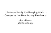 Taxonomically Challenging Plant Groups in the New Jersey ... Moore -- Taxonomically Challenging...Taxonomically Challenging Plant Groups in the New Jersey Pinelands Gerry Moore plants.usda.gov
