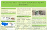The Evaluation of Guar Accessions in the North Dakota High ... · of Williston North Dakota was selected as the test site for the Guar Accession Trial. Guar grows well in arid to
