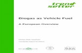 Biogas as Vehicle Fuel - Cti2000.it Trendsetter biogas...Biogas as Vehicle Fuel – a European Overview 4 SUMMARY This reports is a survey over biogas production and utilisation in