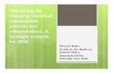 Simulating the changing Electrical consumption …Simulating the changing Electrical consumption patterns and rebound effect: A foresight scenario for 2050 Deepak Singh, Centre for