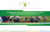 FOREST PLANTATIONS AND WOODLOTS IN KENYA · 4 Executive Summary . 1. This is an analytical review of the status of plantation forestry in Kenya, prepared as a contribution to an AFF