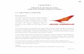 CHAPTER 2 PROFILE OF SELECTED AIRLINE …shodhganga.inflibnet.ac.in/bitstream/10603/166389/12/12...Air India and Indian Airlines both owned by Government of India worked fully independently