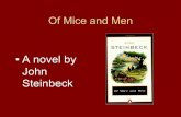 A novel by John Steinbeck - Weeblyrktaylor.weebly.com/uploads/6/0/1/3/60130415/omam_intro...John Steinbeck • Born in Salinas, CA in 1902. • His father was a government official