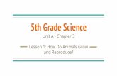 5th Grade Science and Reproduce? Lesson 1: How Do Animals ... · 5th Grade Science Unit A - Chapter 3 Lesson 1: How Do Animals Grow and Reproduce? How Organisms Grow: Cell Division