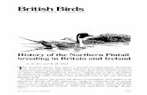 British Birds · British Birds VOLUME 86 NUMBER 4 APRIL 1993 History of the Northern Pintail breeding in Britain and Ireland A. D. Fox ami E. R. Meek The Northern Pintail Anas acuta