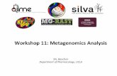 Workshop 11: Metagenomics Analysis · Shannon-Wiener diversity index alpha_diversity.py -s. d) microbiome diversity analyses alpha diversity (microbial community evenness and richness,