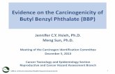 Evidence on the Carcinogenicity of Butyl Benzyl Phthalate ... · Evidence on the Carcinogenicity of Butyl Benzyl Phthalate (BBP) Jennifer C.Y. Hsieh, Ph.D. Meng Sun, Ph.D. Meeting