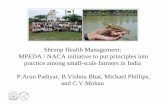 Shrimp Health Management: MPEDA / NACA initiative to put ...library.enaca.org/Shrimp/Publications/WAS_Bali_2005.pdf · Shrimp Health Management: MPEDA / NACA initiative to put principles