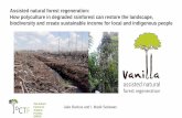 Assisted natural forest regeneration: How polyculture in ... · Assisted natural forest regeneration: How polyculture in degraded rainforest can restore the landscape, biodiversity