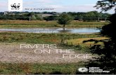 RIVERS ON THE EDGE - WWFassets.wwf.org.uk/downloads/rivers_on_the_edge.pdf · 06 Rivers on the Edge Pressures on our rivers Our rivers are under pressure from many sources, all of
