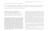 Overexpression of MHC Class I Heavy Chain Protein in Young ... · Overexpression of MHC Class I Heavy Chain Protein in Young Skeletal Muscle Leads to Severe Myositis ... juvenile
