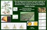 The development of potato genome analysis at the Max ... · The development of potato genome analysis at the Max-Planck-Institute for Plant Breeding Research in the context of potato