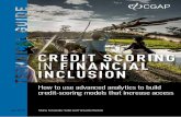 CREDIT SCORING IN FINANCIAL INCLUSION · IN FINANCIAL INCLUSION Maria Fernandez Vidal and Fernando Barbon ... However, the primary input needed for this type of modelling is something