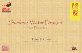 Shuilong ‘Water Dragon’ · What is Classical Fengshui? Traditional Fengshui – orthodox techniques, family lineages commonly practiced by the majority • three cycles, flying