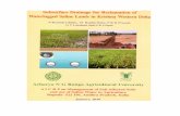 aicrp.icar.gov.in...soil characteristics, design criteria, design and installation of drainage system, ... Guntur district in an area of 7.5 hectares including different farmers. The