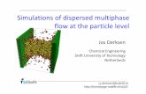 Simulations of dispersed multiphase flow at the particle levelWorkshop/derksen.pdf · immersed boundary method particle size typically 12 grid-spacings Solve equations of linear and